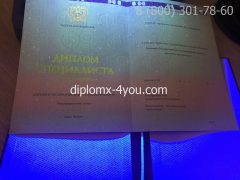 Диплом о высшем образовании с отличием 2010-2011 годов, образец-5